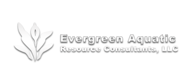 Evergreen Aquatic Wetlands Mitigation Logo